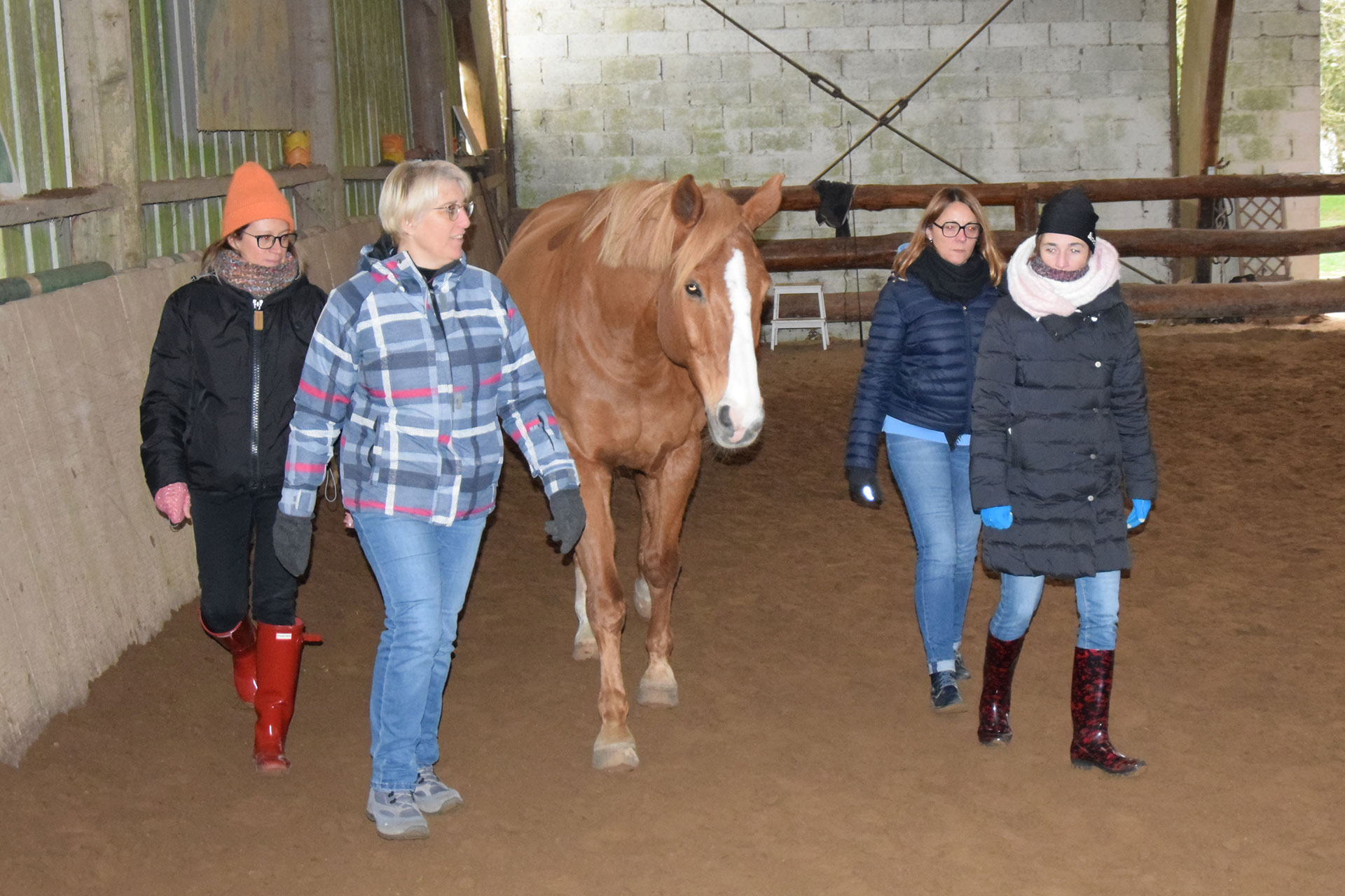 elodie-bakis-equicoaching-conseil-rh-evolution-professionnelle-personnelle-cherbourg-cotentin9